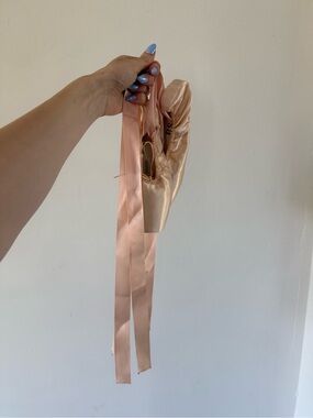 Vanassa Queen-1 Satin Pointe Ballet Shoes Pink Ribbons 39 Ballet Dance